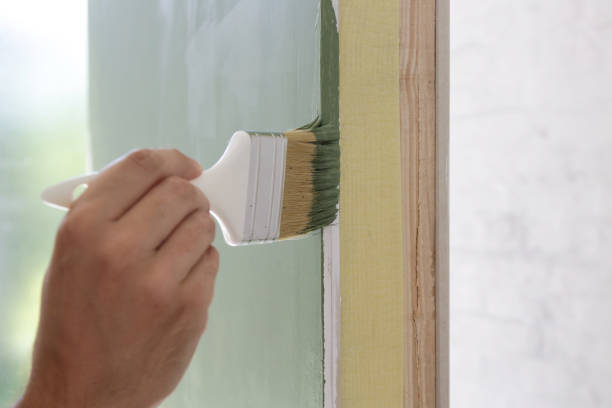 Best Water Damage & Mold Remediation  in Western Springs, IL