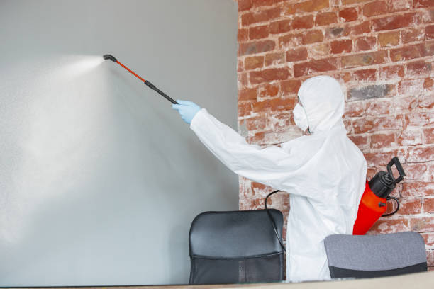 Best Comprehensive Air Testing for Mold Contaminants  in Western Springs, IL