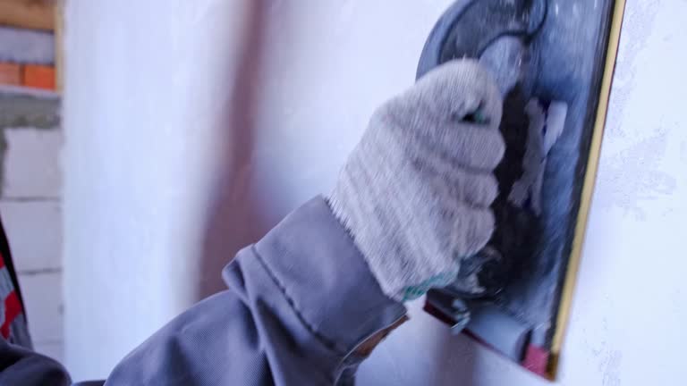 Best Emergency Mold Remediation  in Western Springs, IL