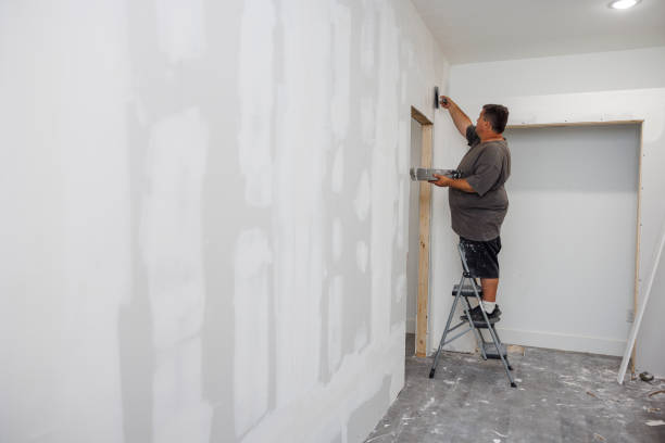 Mold Odor Removal Services in Western Springs, IL
