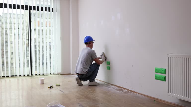 Best HVAC Mold Inspection and Cleaning  in Western Springs, IL