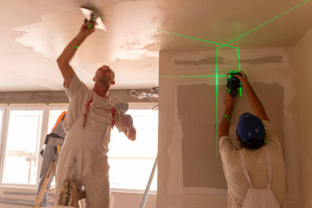 Biohazard Mold Removal in Western Springs, IL
