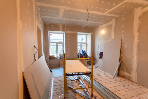 Best Mold Documentation for Insurance Claims  in Western Springs, IL