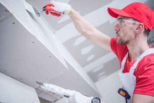 Best Mold Damage Restoration  in Western Springs, IL